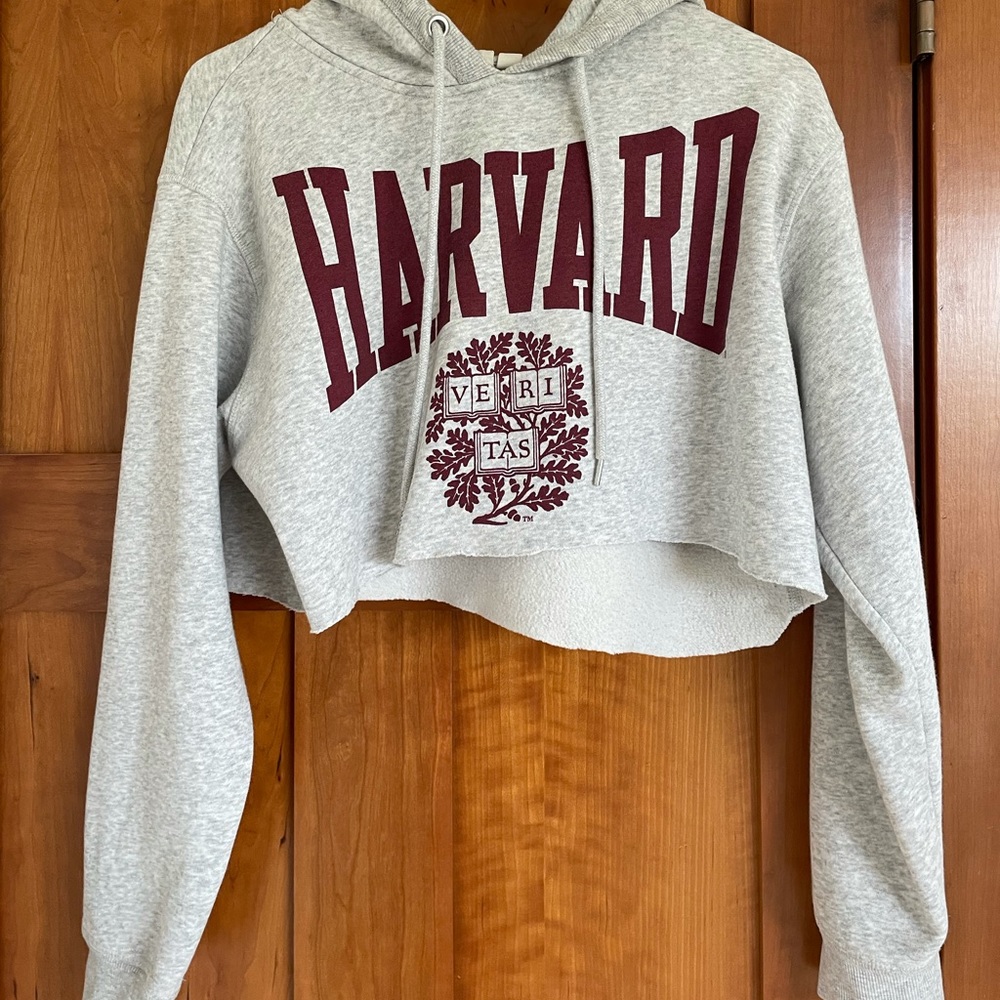 Harvard cropped hoodie